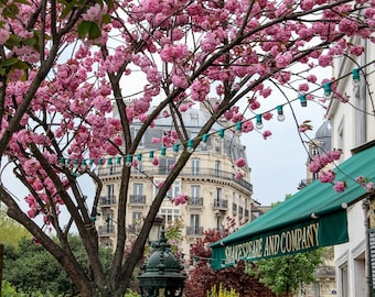 Shakespeare & Co. Paris, fine art paris photography, storefront photograph, cherry blossoms Paris, Paris bookshop