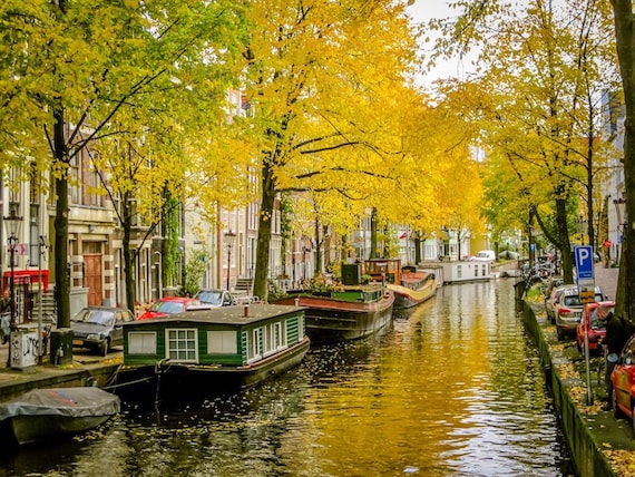 AUTUMN IN AMSTERDAM