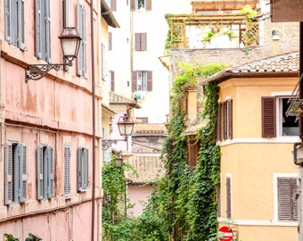 Rome, Italy window shutters and vines, fine art travel photography, travel photo, wall decor by Falling Off Bicycles