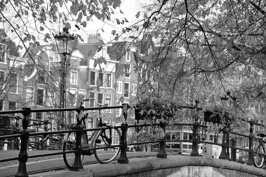 Oven Mitts Set of 2 - Black Bike Amsterdam
