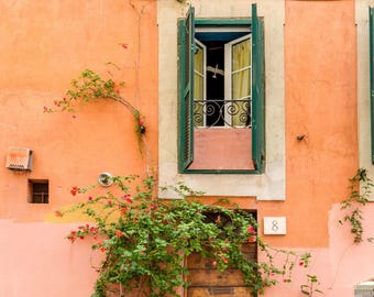 Rome Door Photography Print Wall Art Italy Travel Photo Home Decoration Vintage Entrance Picture Frame Botanical European Architecture