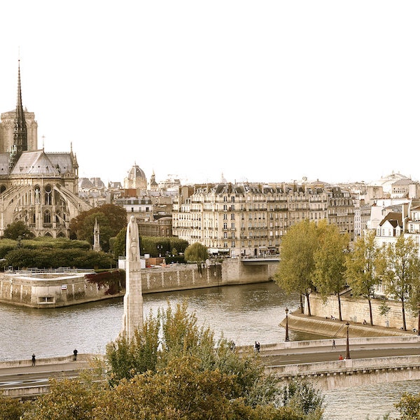 Parisian aerial view Notre Dame de Paris, fine art paris photography, travel photo, wall decor