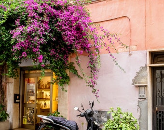 Rome, Italy door, Falling Off Bicycles, fine art travel photography, travel photo, wall decor by Julia Willard