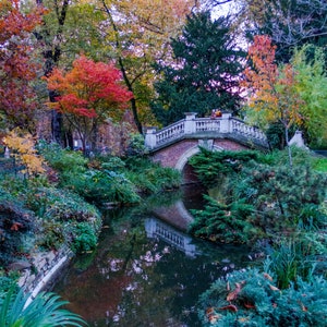 fine art Paris photography travel photo Fall in Paris photograph golden autumn colors by Falling Off Bicycles by Julia Willard