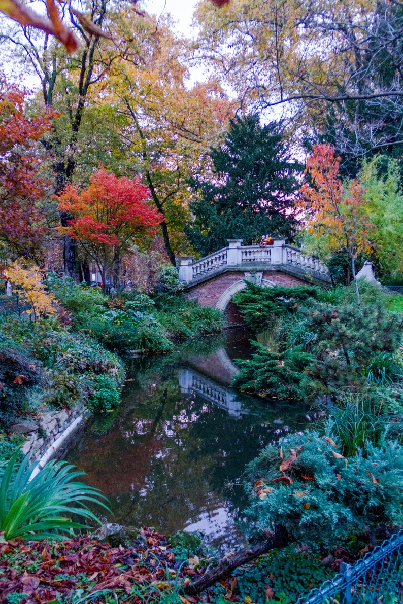fine art Paris photography travel photo Fall in Paris photograph golden autumn colors by Falling Off Bicycles by Julia Willard