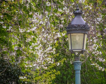 Paris photo, Paris lamppost, springtime in Paris, fine art Paris photography, travel photo