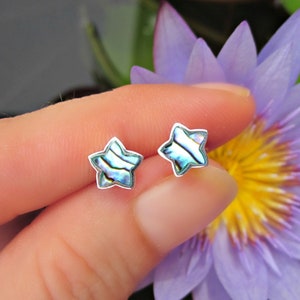 May include: A pair of silver star-shaped earrings with iridescent abalone shell insets. The earrings are shown on a finger against a purple flower background.