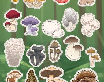 Mushroom Sticker Sheet