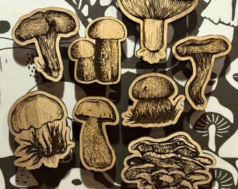Mushroom magnet set