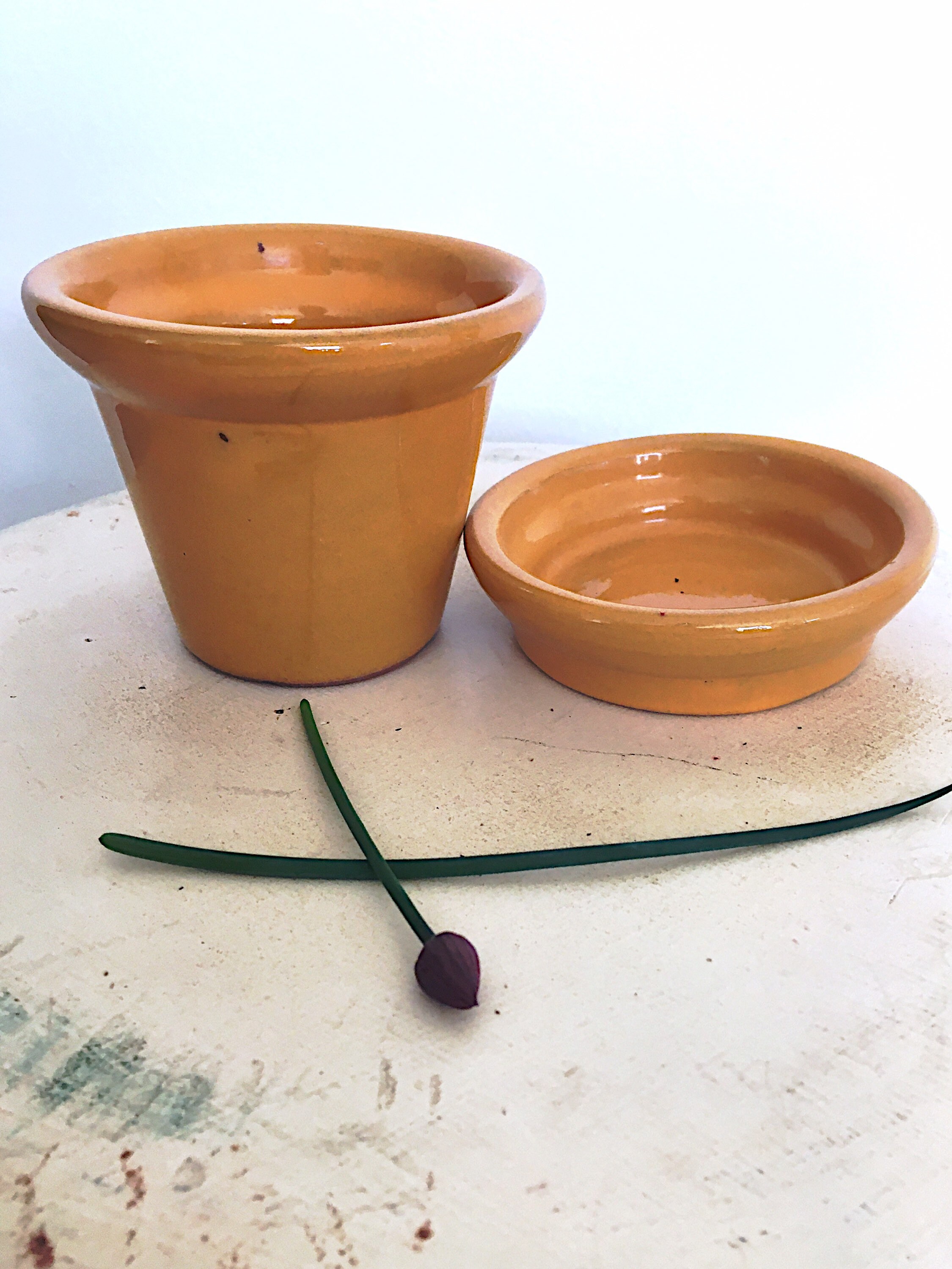 Vintage Mustard Yellow Planter Kitchen Herb Pot African Etsy UK