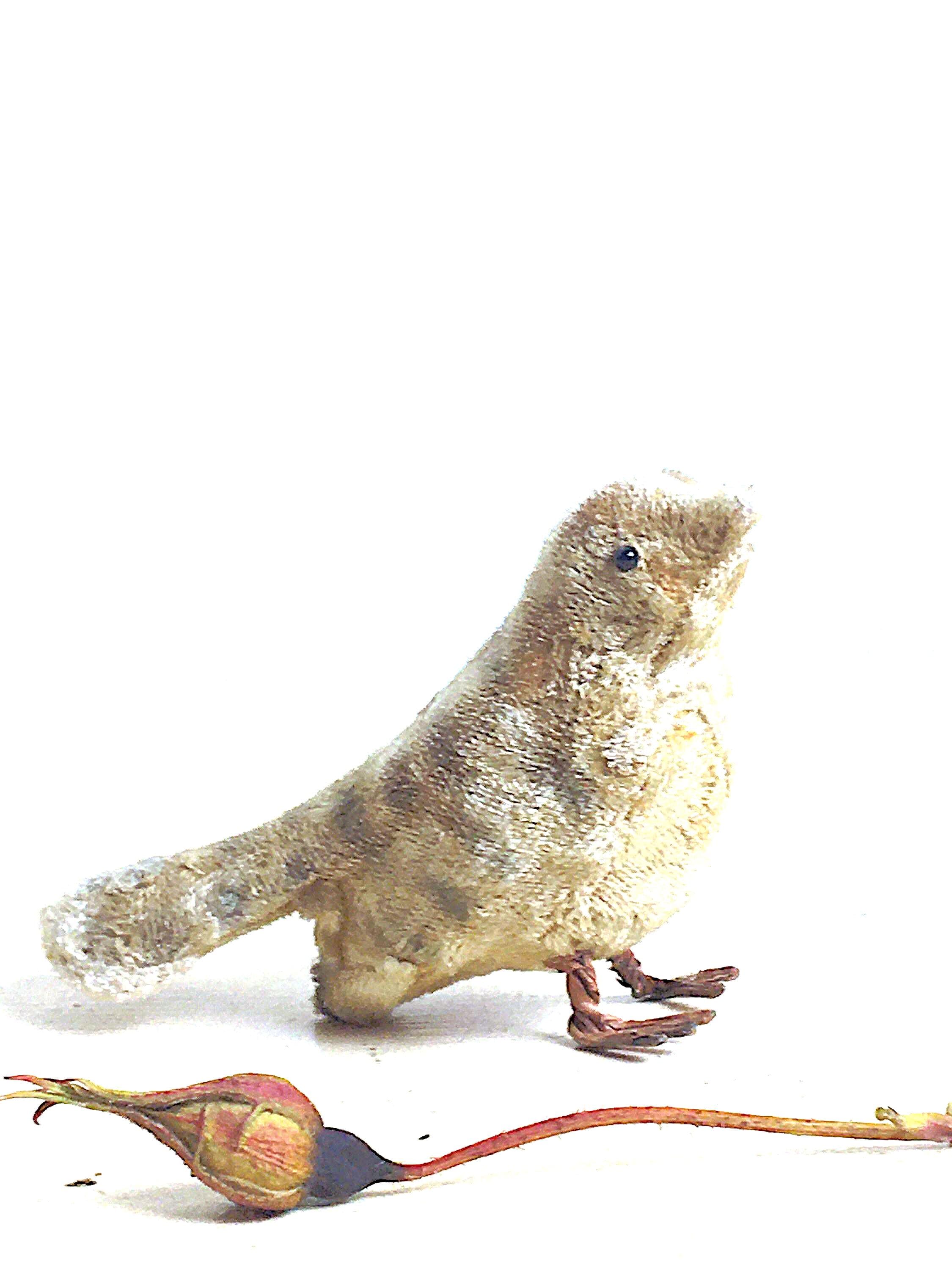 Wagner West Germany Ornament - Etsy Wagner West Germany Ornament - Etsy