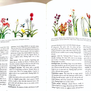 Vintage California Gardening Book, 1983 How to Garden hardbound book, Illustrated Color Photos