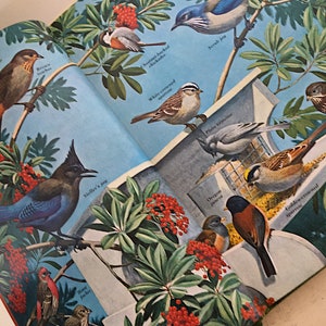 Vintage Song & Garden Birds of North America Book with Bird Song Records