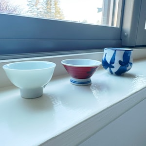 Vintage Kutani Porcelain Sake Cups: Hand-Painted Japanese Tasting Set