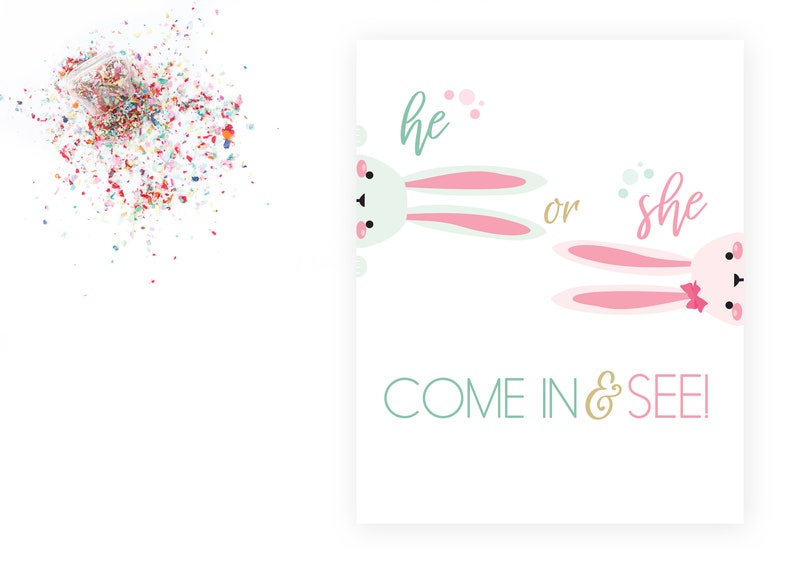 He or She Welcome Sign Gender Reveal Printable He or She Come in and See Bunny Gender Reveal Shower INSTANT DOWNLOAD Printable image 1