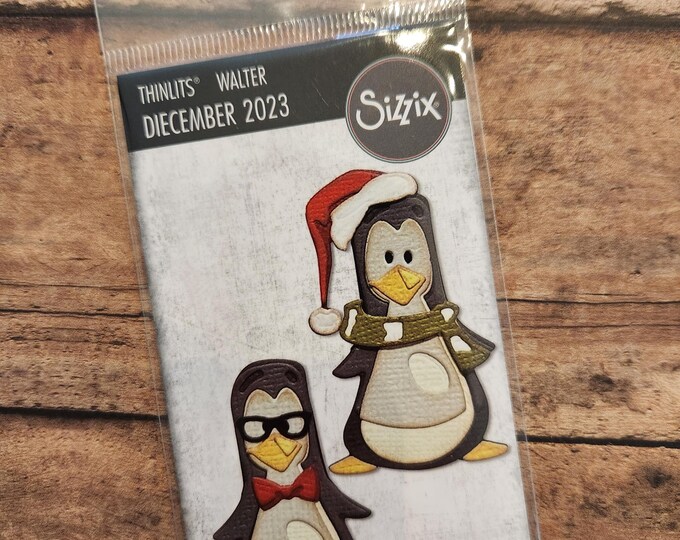 Tim Holtz Simon Says Stamp Sizzix Diecember 2022 #666595 Chilly ...