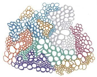 LARGE CORAL note card with hand drawn image