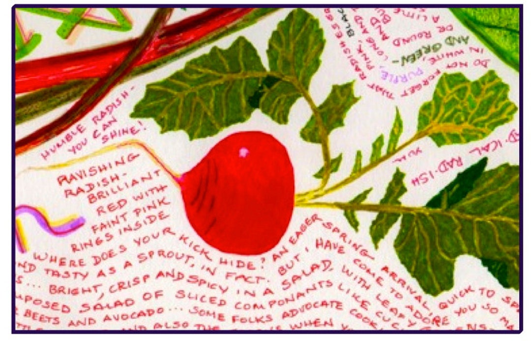 Radish Notes Simple RED RADISH Note Card, Colorful, Hand-drawn - Etsy