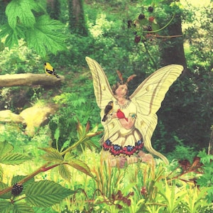 Indigenous Peoples&#39; Day, Birds,Blackberry,Butterfly,Native American Dress,Goldfinch,New Jersey,Cardinal, North Carolina