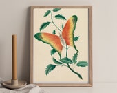 Orange Butterfly Print Vine, Printable Botanical , Cottage Kitchen Art, Monarch Butterfly, Butterfly Lovers Gift, Downloadable Print,