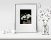 Moth Wall Art, Night Flight Art, Nature lovers art, Limited Edition, Mountain Snow, Crescent Moon, Tree Wall Art