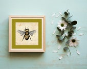 Bee and Honeycomb Digital Art Square