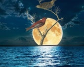 Moon Rise,Birds on Tree Branch, Limited Edition Print, Blue Lake Water, Dramatic Moody OceanWaves, Full Harvest Moon Rising