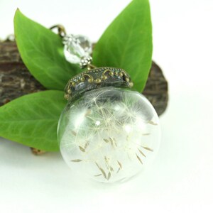 Dandelion Necklace, Dandelion Globe Necklace, Dandelion Jewelry, Personalized Jewelry, Rustic Botanical Real Seeds, Personalized Birthstone image 2