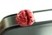 Brain Phone Plug, Zombie Mobile Cell phone Accessories Dust Jack, iZombie Geekery Halloween, Quirky Medical Science Human Anatomy 