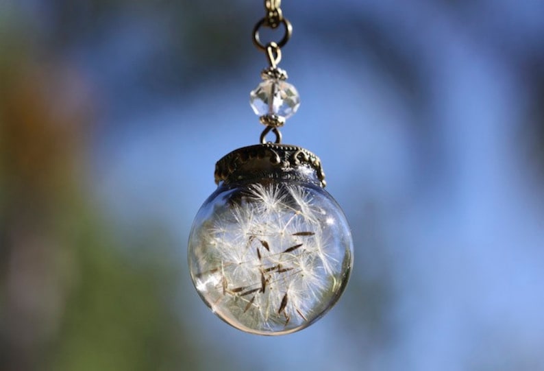 Dandelion Necklace, Dandelion Globe Necklace, Dandelion Jewelry, Personalized Jewelry, Rustic Botanical Real Seeds, Personalized Birthstone image 1