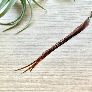 Feather Ear Cuff, Ear Clip, Brass Cuff, Brown Feather Jewelry, Renaissance Style, Boho, Long Feather Ear Cuff, Statement Jewelry (SINGLE)