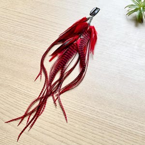 May include: A vibrant red feather hair clip with a black metal clasp and chain. The clip features a cluster of red and black striped feathers, with long, flowing red feathers extending downwards. This accessory adds a bold statement to any hairstyle.
