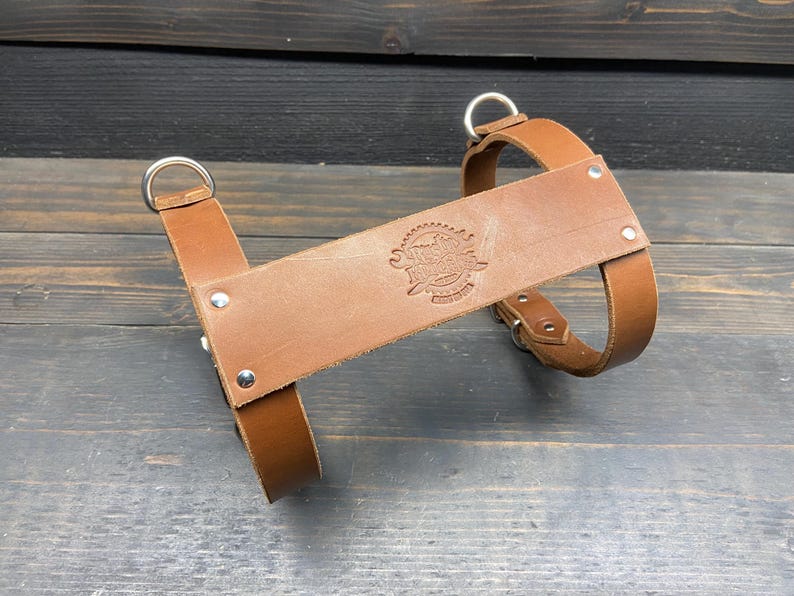 May include: A brown leather dog harness with silver metal hardware. The harness features a wide chest strap with an embossed design and is secured with rivets and adjustable buckles. The harness has two D-rings for leash attachment.