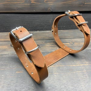 May include: Two brown leather dog collars with silver-colored metal buckles and rivets. The collars are connected by a long leather strap. The collars are displayed on a dark wooden surface.