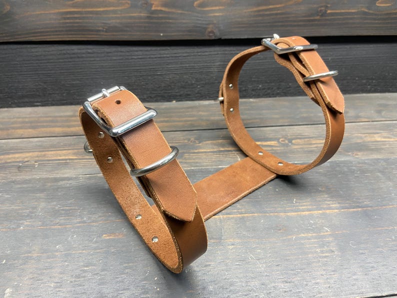 May include: Two brown leather dog collars with silver-colored metal buckles and rivets. The collars are connected by a long leather strap. The collars are displayed on a dark wooden surface.