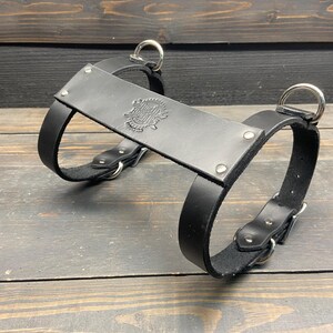 May include: Black leather dog harness with silver-tone metal hardware. The harness features a rectangular chest plate with an embossed emblem and is secured with adjustable straps and buckles. The design is sturdy and functional.
