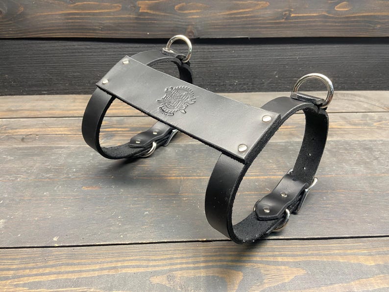 May include: Black leather dog harness with silver-tone metal hardware. The harness features a rectangular chest plate with an embossed emblem and is secured with adjustable straps and buckles. The design is sturdy and functional.