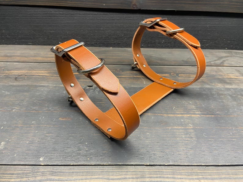 May include: Two brown leather dog collars with silver-colored metal hardware. The collars are connected by a flat leather strap. The collars have a buckle and a metal ring for leash attachment. The background is a dark wooden surface.