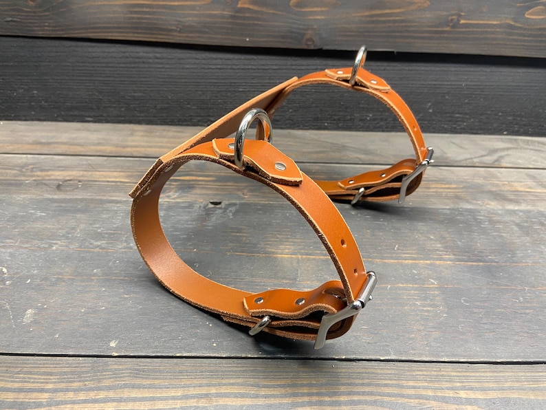 May include: A tan leather dog harness with silver-colored metal hardware. The harness has two circular rings and adjustable straps. The background is a dark wooden surface.