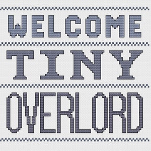 May include: A white cross-stitch pattern with the text "WELCOME TINY OVERLORD" in gray pixelated letters.