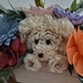 see more listings in the Flower Dog Arrangement section