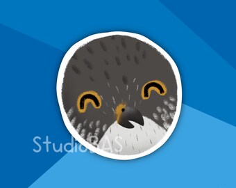 Peregrine Falcon Vinyl Sticker