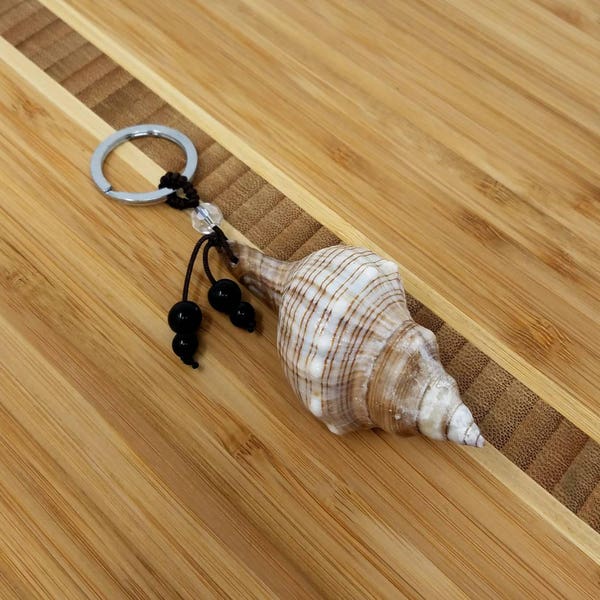 Shell Kechain Natural Seashell Keychain Seashell Keyring Surf Keyring Surf keychain Tropical Beach Keychain Sand Shell Accesories Natural