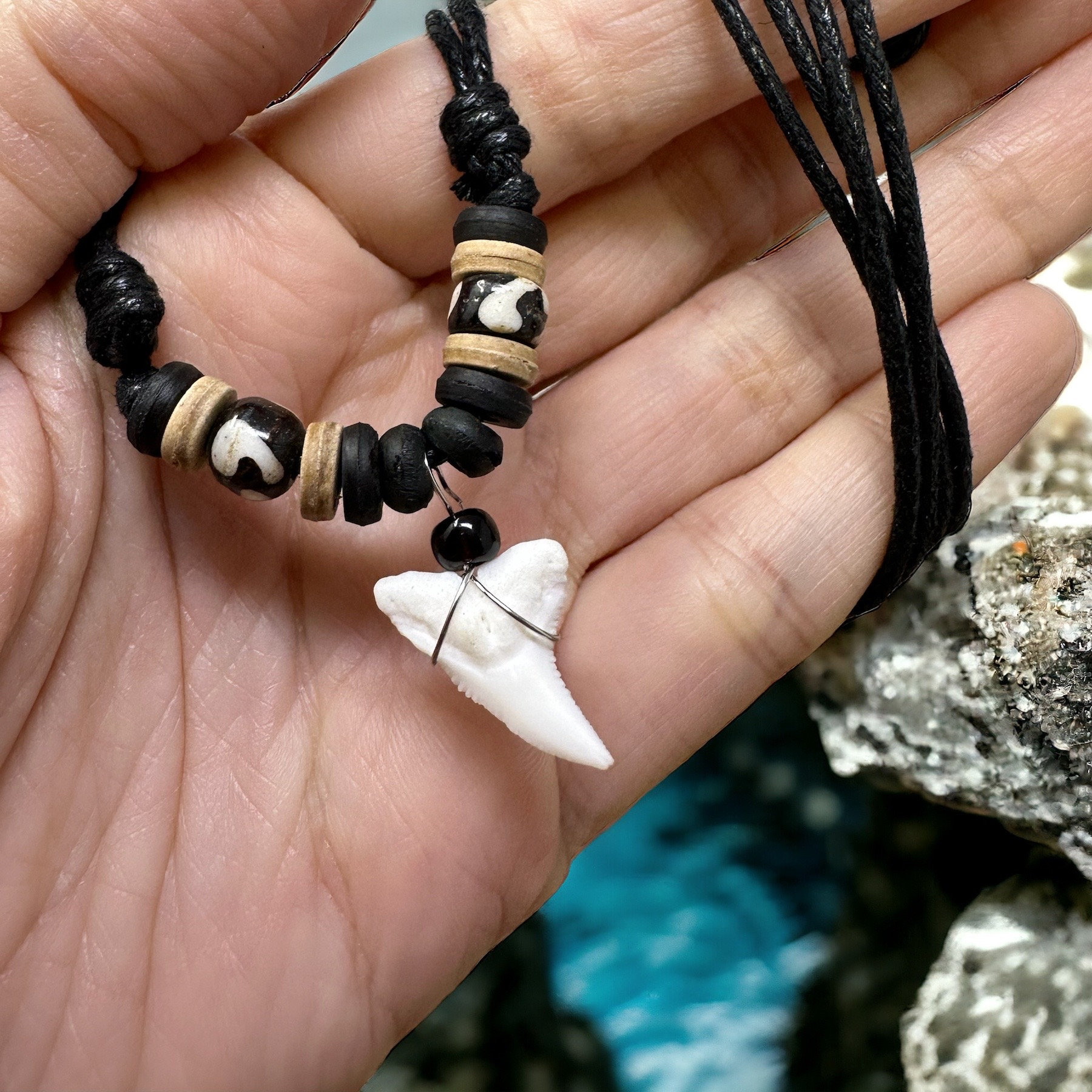 Thick Cord Large Shark Tooth Necklace - California Seashell Company Retail