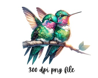 Colibrí PNG: Pareja de colibríes, Clipart, Diseño de camisetas, Diseño de sublimación, Descarga instantánea PNG, Camiseta PNG, Diseño de taza, SOLO DIGITAL