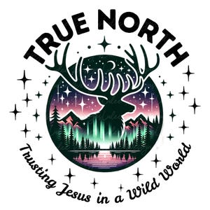 True North Vbs Png, Vacation Bible School Png Vbs Sublimation Digital Design, VBS 2025 Digital Download, Christian Summer Camp Png
