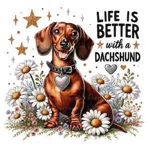 Könnte beinhalten: Ein brauner Dackel mit schwarzem Halsband und herzförmigem Anhänger sitzt inmitten von Gänseblümchen und Wildblumen. Goldene Sterne und der Text "LIFE IS BETTER with a DACHSHUND" sind ebenfalls in dieser Illustration enthalten.