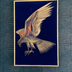 Pode incluir: Uma obra de arte emoldurada que retrata uma águia feita de arte de barbante. A águia está em voo com as asas abertas. O fundo é de veludo azul escuro. A moldura é de uma cor dourada simples.