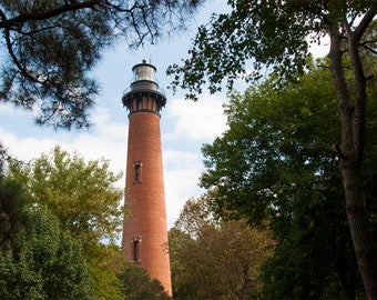Lighthouse photo, green, blue and brown, fine photography prints, Light in the Woods