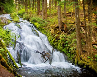 Oregon Waterfall Photograph, green and blue, fine photography wall art prints, Little Zig Zag